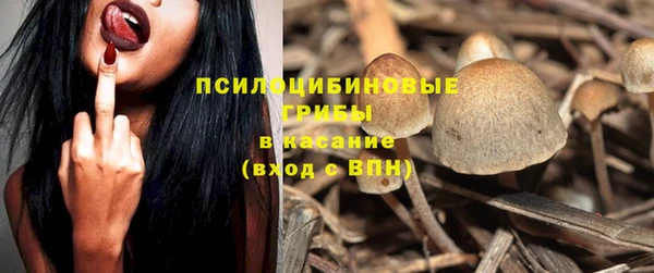 бошки Ладушкин