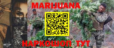 Альфа ПВП Кингисепп