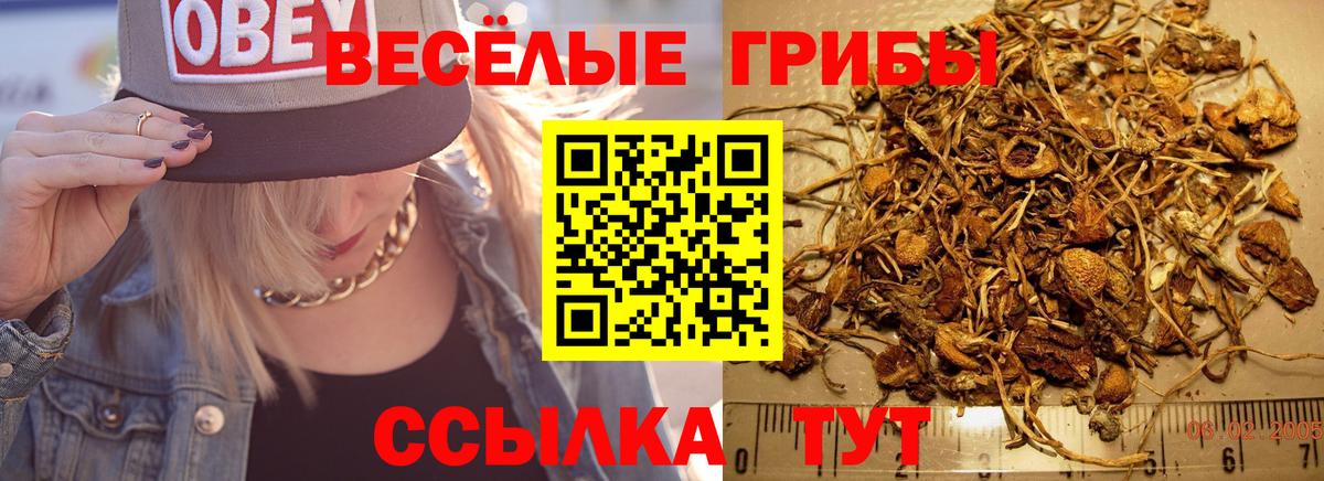 Галлюциногенные грибы мицелий Новошахтинск