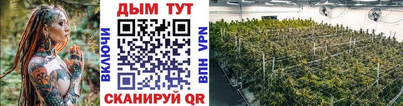Каннабис Bruce Banner  купить наркотики цена  Новошахтинск 